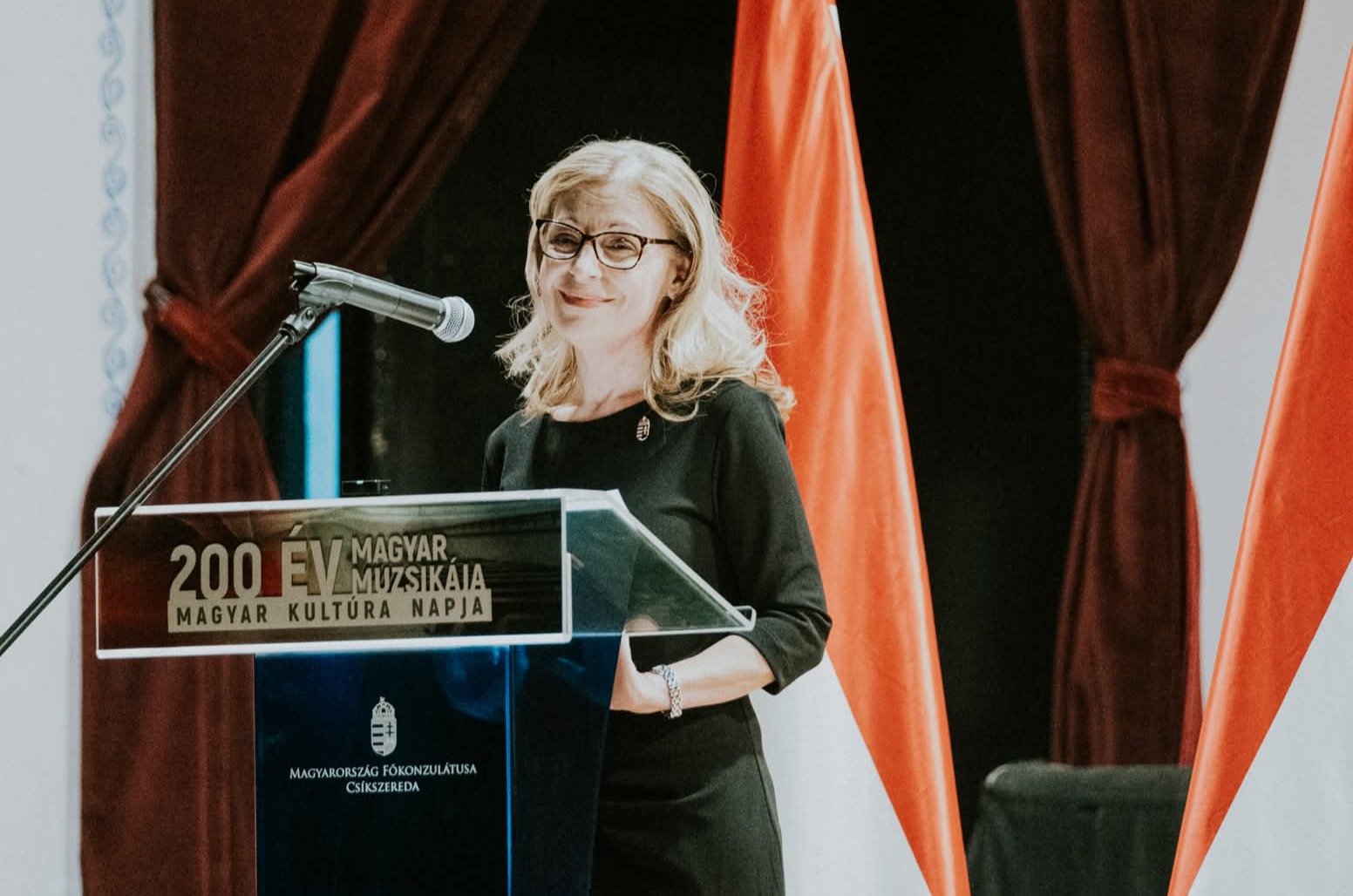 Ambassadorial visit to Târgu Mureș